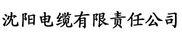 向日葵app在线观看网址进入电缆厂logo